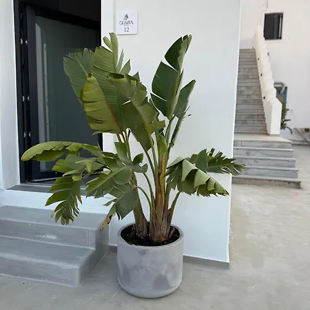 Apartment Olesia In *